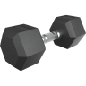 Гантель гексагональная UNIX FIT 12,5 кг обрезиненная DBHEX12_5x2