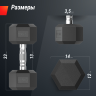 Гантель гексагональная UNIX FIT 12,5 кг обрезиненная DBHEX12_5x2